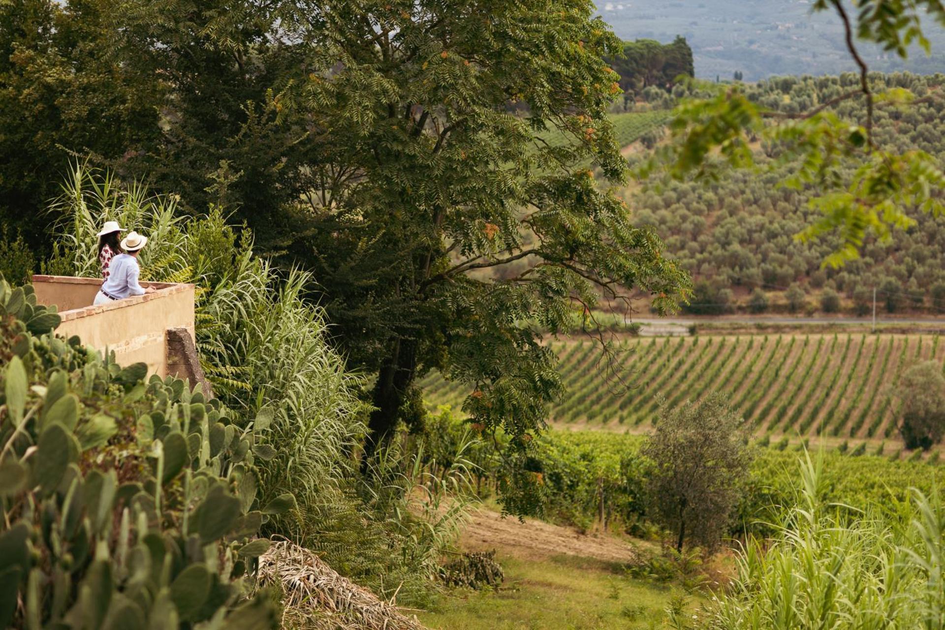 וינצ'י Boutique Wine Resort - Villa Dianella מראה חיצוני תמונה